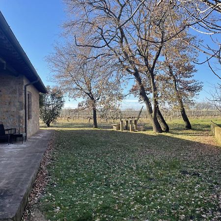 Agriturismo Eco-Bio Villa Vacasio Pitigliano Exterior foto